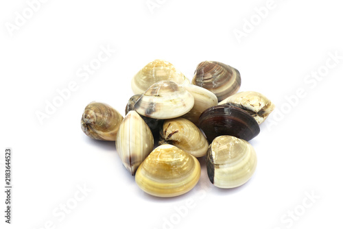 Принти на полотні Closed up fresh baby clams