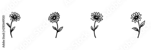 Flower Drawings Hand Drawn Doodle Icon Set. Hand-Drawn Floral Sketch Symbol Collection. Botany Nature Gardening Floral Design Crafts. Isolated Vector Illustration