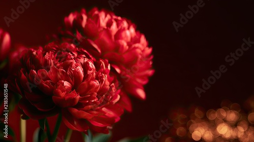 Two lush red peony blossoms with soft bokeh in the background