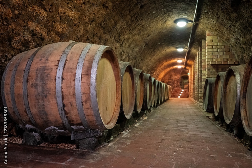 Obraz premium Wooden Wine Barrels in a Traditional Wine Cellar