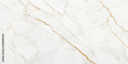 Premium white and gold marble texture background abstract pattern design for interior decoration vector illustration