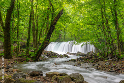Choshi Otaki Waterfall surrounded by fresh green forest in Oirase Gorge, Aomori, Japan