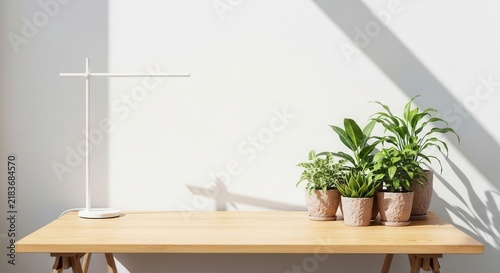 Minimalist Desk Setup With Modern Lamp And Potted Plants