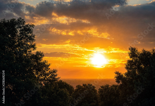 Bright Sun Setting Behind Tree Silhouettes and Clouds