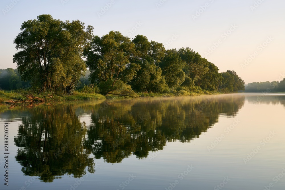 Obraz premium Tranquil water mirror showing dense forest along the riverbank