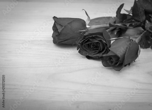Obraz na płótnie Black and white roses on wooden surface background with copy space for sympathy or romance concept