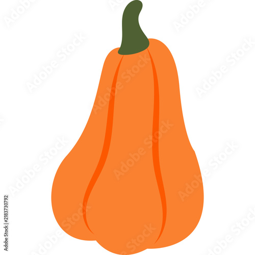 Autumn harvest orange pumpkin illustration