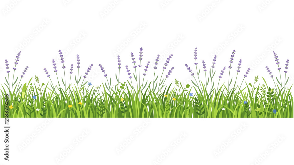 Obraz premium Horizontal Border of Green Grass with Purple Lavender and Wildflowers Illustration Isolated on White Background