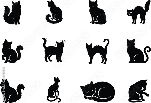 Cats in various poses and positions Halloween