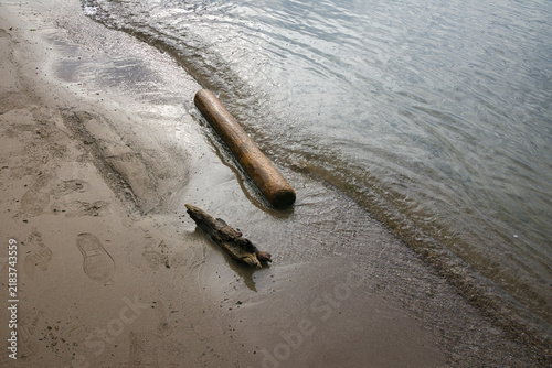砂浜に打ち寄せる波と流木と足跡