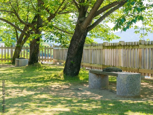 Tapety artystyczne 木漏れ日が差し込む初夏の緑豊かな公園とベンチ