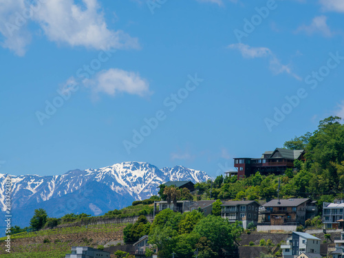 Tapety artystyczne 山麓の街並みと青空に映える残雪の雄大な山々