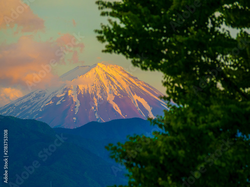 Tapety artystyczne 夕刻の紅霞に包まれる富士山と手前の新緑の木々
