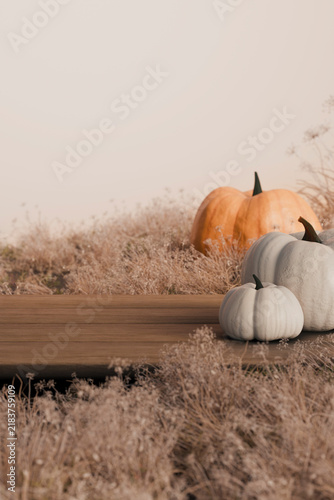 Autumn pumpkins on wooden table in nature field. Abstract thanksgiving background for product display. Halloween tabletop. Aesthetic mockup in pastel neutral tones.