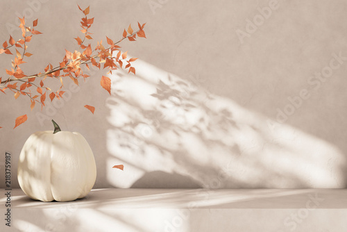 Minimal aesthetic autumn interior decor white thanksgiving pumpkin on empty table. Cozy holiday tabletop display. Natural fall mockup template. Beauty, fashion, lifestyle luxury brand display. October