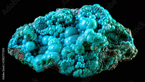 Raw chrysocolla mineral macro showing vivid turquoise-blue botryoidal dome surface with peacock teal variation on pure black background studio lighting