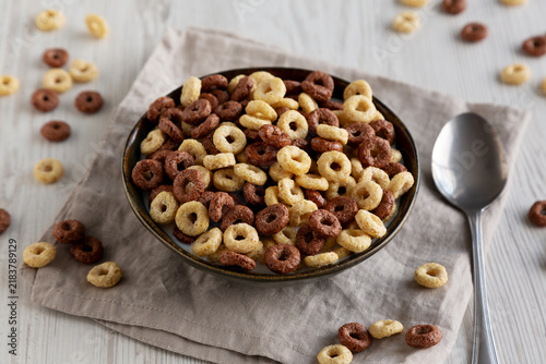Healthy Breakfast Cereal with Whole Milk in a Bowl, side view.