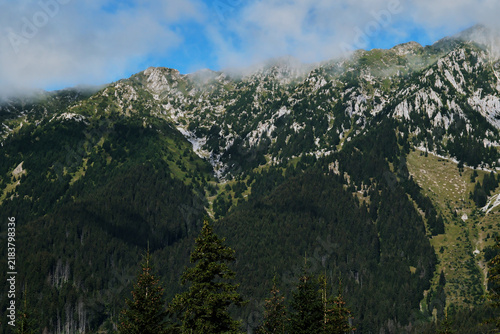 Photography Rocky mountain ridge shrouded in white clouds with evergreen pine forest in fore
