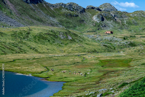Val Viola 14