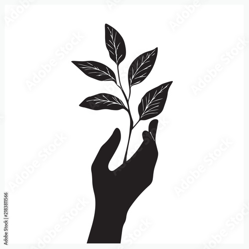 hand holding a plant
