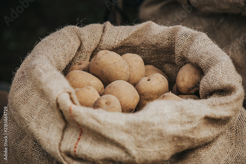 Natural brown potatoes inside a burlap sack, showcasing the texture of the fabric and the earthy tones of the vegetables in a rustic setting