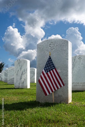 american flag on cemetery