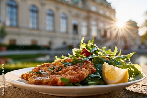 Wiener Schnitzel Served on a Plate With Fresh Greens and a Lemon Wedge in Front of the Schonbrunn Palace in Vienna During a Warm Late Afternoon