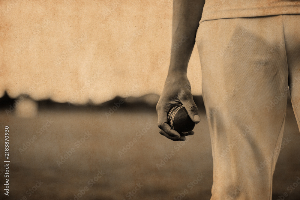 Fototapeta premium Cricket player holding a ball on a blurred field background