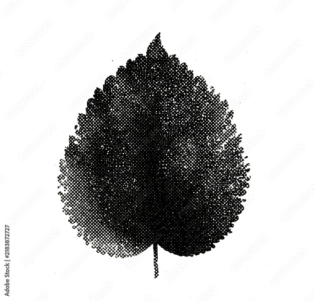 Obraz premium PNG Vintage stipple leaf illustration on textured background.