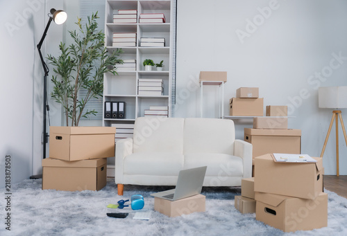 Картината върху платно Moving Day Dilemma: A living room transformed into a temporary storage hub, with cardboard boxes stacked high around a sofa and shelf unit, suggesting an imminent move or relocation