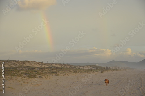 Bild auf Leinwand Arc-en-ciel au-dessus de la plage de Todos Santos