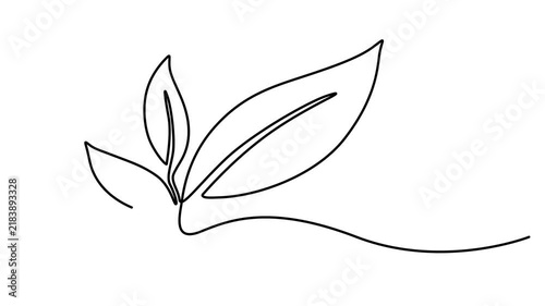 Animated leaves continuous one line drawing. On white background minimalist agriculture and biological science symbol 4k animation video