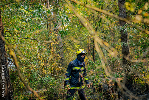 Firefighter oversees forest
