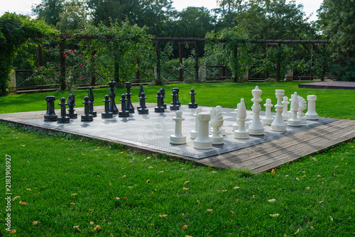 Принти на полотні chess pieces on a chessboard in the garden