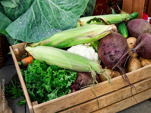 A rustic wooden crate filled with freshly picked vegetables including ears of corn still in husks, large beets with roots, leafy cabbage, potatoes, curly parsley, carrots, and a cucumber. Dewdrops on