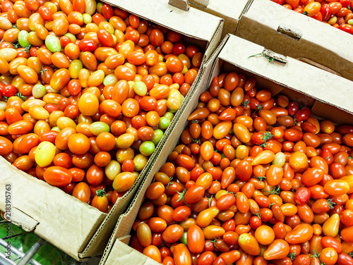 Obraz na plátně Close-up view of ripe cherry tomatoes displayed in cardboard boxes at a market