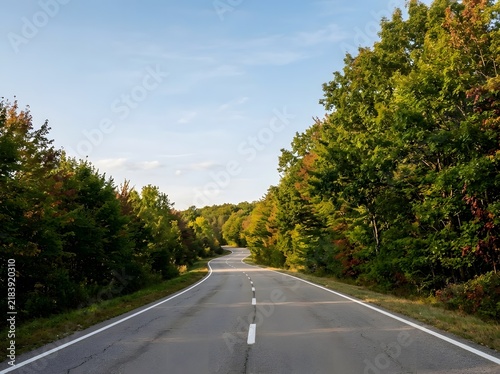Winding empty asphalt country road through dense green and autumn forest under a clear blue sky. Two-lane highway with white markings passing through rural woodland scenery.