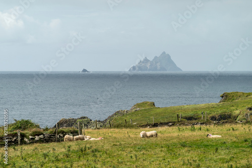 Skellig Islands im County Kerry im Südwesten Irlands