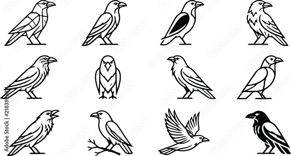 Obraz premium Set of black and white crow and raven icons