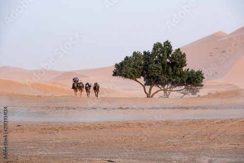 2026-maroc 1888