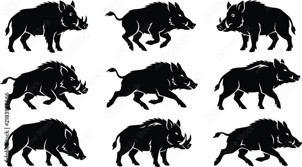 Obraz premium Wild boar pig tusks set running standing positions swine forest animal vector illustration collection isolated (16 words)
