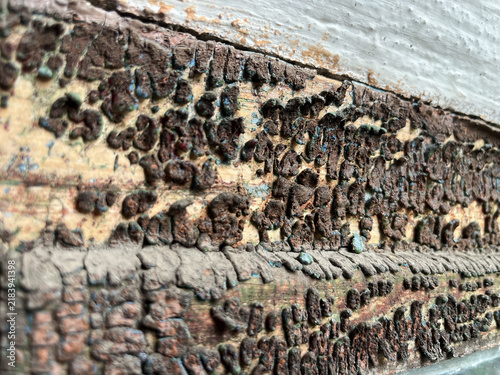 Horizontal eye level shot of heavily peeling cracked brown paint on old wood planks with selective focus