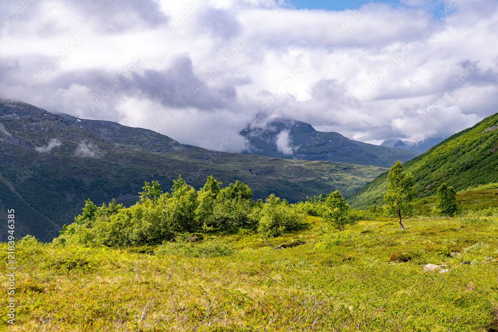 Fototapeta premium A lush green mountain valley near Herdal. A seasonal scenery of Hercal valley in World Heritage area in Western Norway.