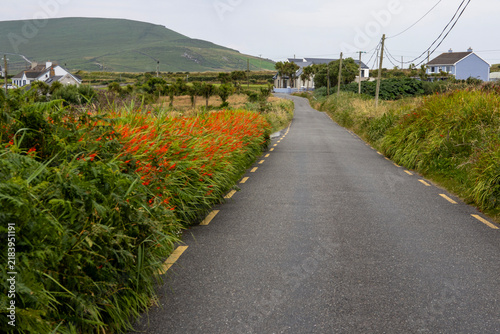 Road and rural landscape - Valentia Island - Kerry County - Ireland