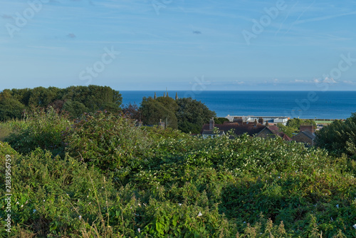 фотографія A wide landscape view of green foliage in the foreground, with a glimpse of buil
