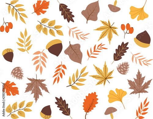 autumn leaves collection