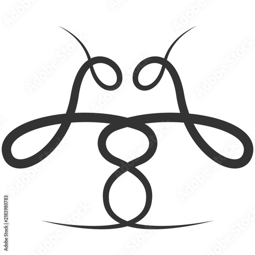 Symmetrical Decorative abstract Floral Vector Graphic