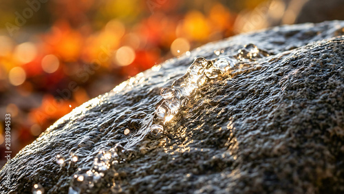 Autumn water rivulet flowing on smooth river rock in sunlight