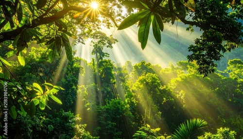 Sunlight Rays Piercing Through Lush Green Jungle Canopy in Tropical Forest