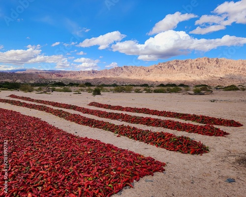 фотографія Red peppers drying in the sun on arid mountain landscape